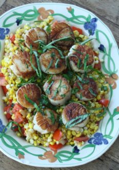 Scallops on a platter on a bed of corn and tomatoes and basil