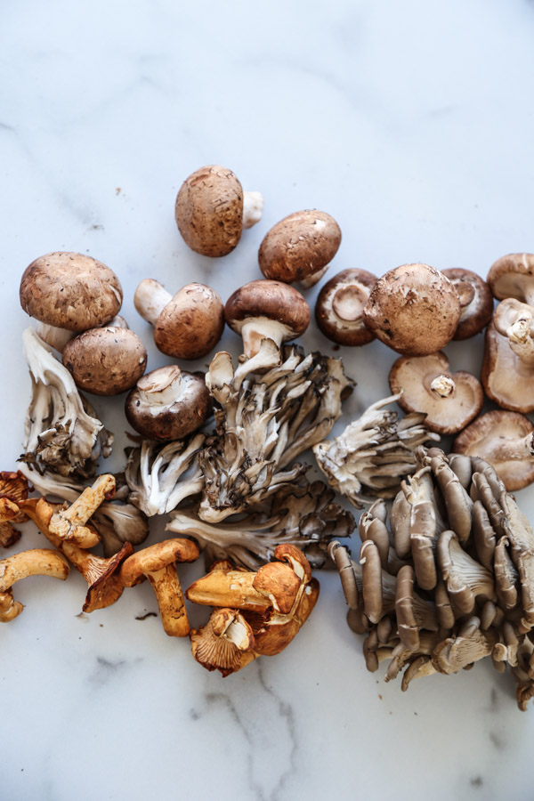 wild mushrooms on marble; cremini mushrooms, chanterelle, oyster mushrooms, maitaki mushrooms