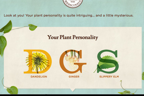 Traditional Medicinals Plant Personality Quiz Dandelion Ginger Slippery Elm