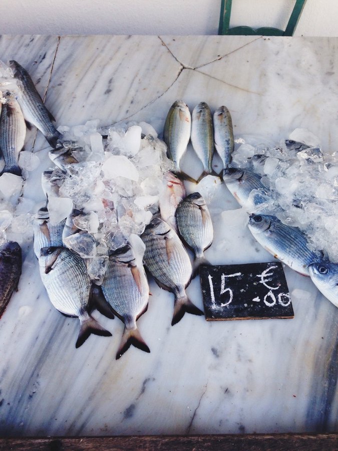 Fish Market | My Vacation Guide to Spetses, Greece: The Perfect Affordable Weekend in the Greek Isles 