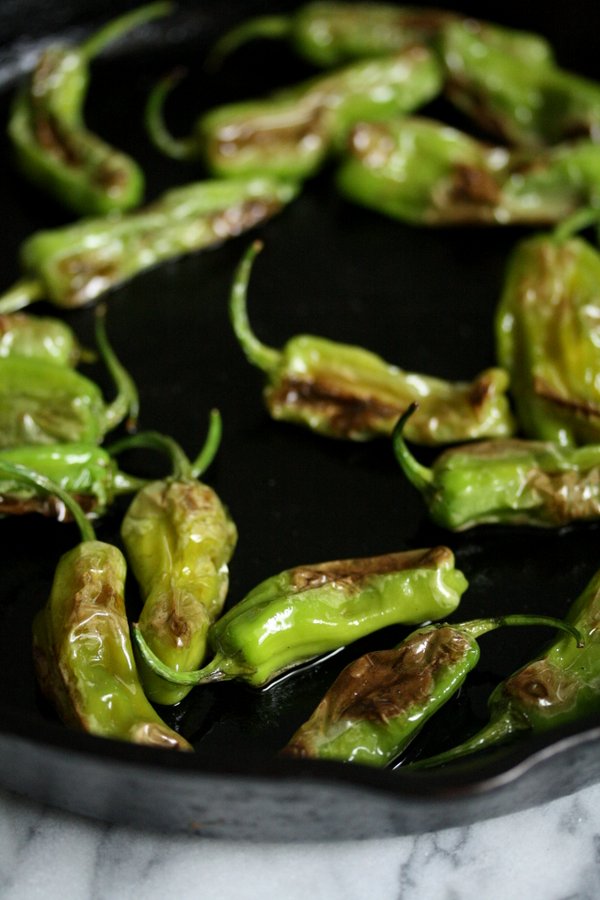 Blistered Peppers with Salt - Sauteed Japanese Shashitos Recipe with salt