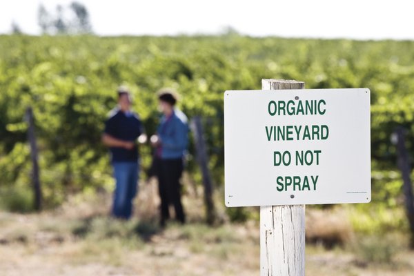 The Best Biodynamic and Organic Wines For Under $30 | Eco Wines for Earth Day