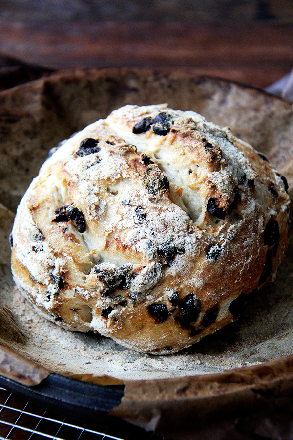 Olive Bread | The Best Gluten-Free Bread Recipes From Gluten-Free Artisan Bread in 5 Minutes a Day