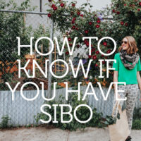 Do I Have SIBO? Symptoms and Gut Garden