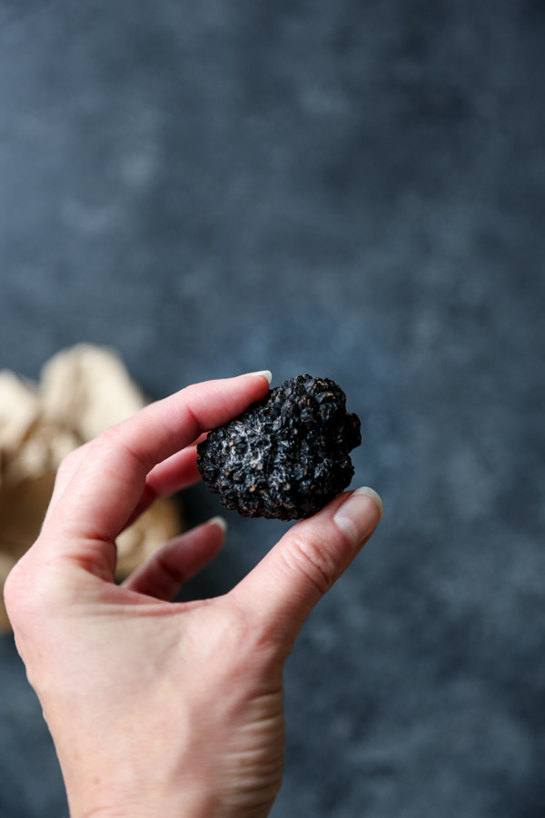 Hand holding black truffle