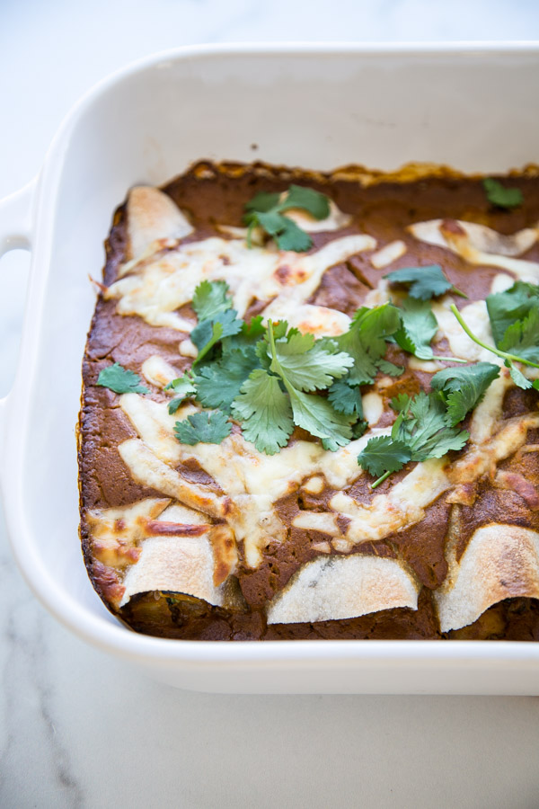 Roasted Ratatouille Low FODMAP Vegetarian Enchiladas Recipe - Gluten-free and made with an easy fire roasted tomato sauce